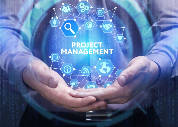 frisson-project-management
