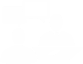 Expert Consultants